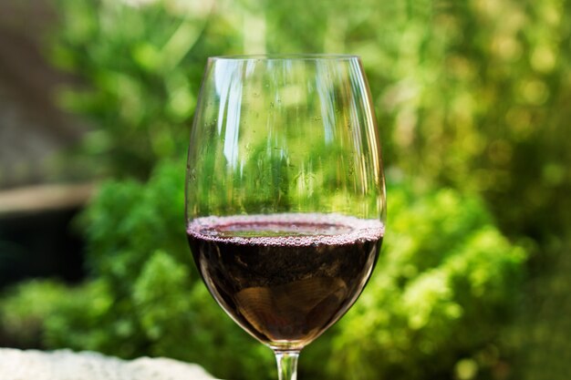 Een glas wijn van dichtbij in de tuin met planten erachter