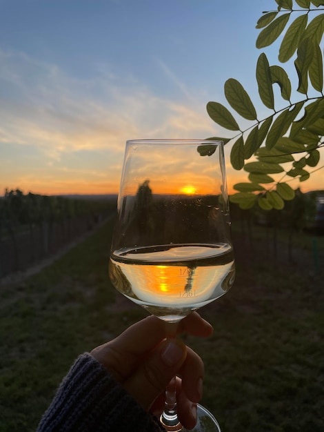 Foto een glas witte wijn tegen de avondrood