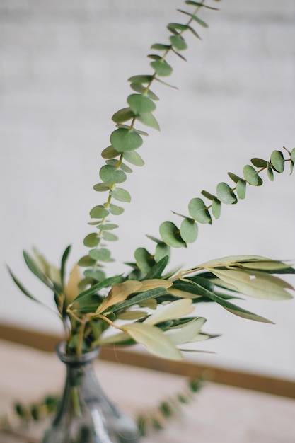 Foto een glazen vaas met eucalyptusbladeren en een tak eucalyptus.