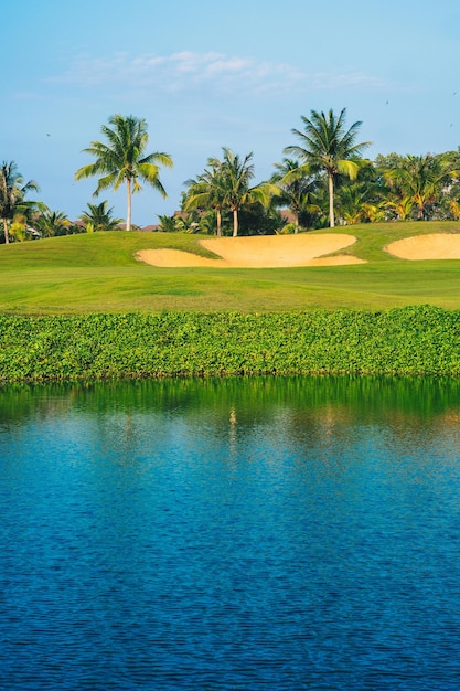 Een golfbaan met palmbomen op de achtergrond