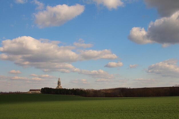 Een grasveld met bomen en een blauwe hemel met wolken.