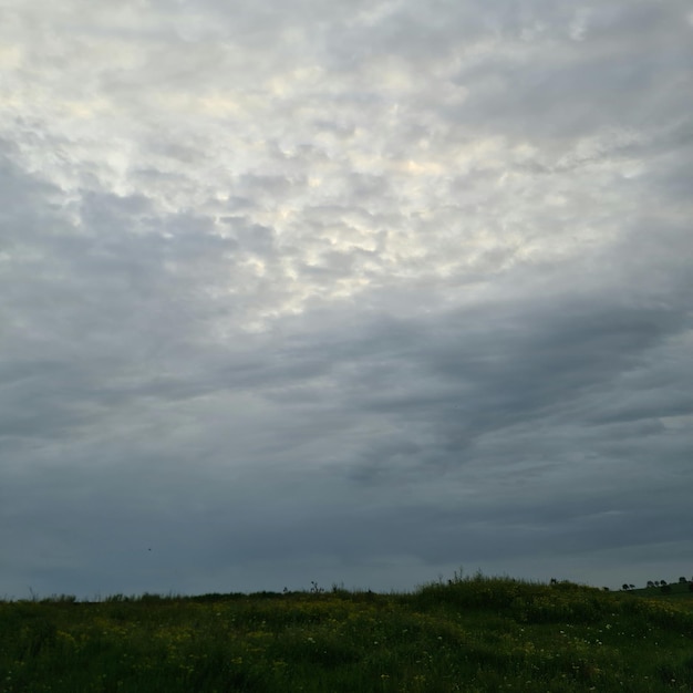 Een grasveld met een bewolkte lucht op de achtergrond.