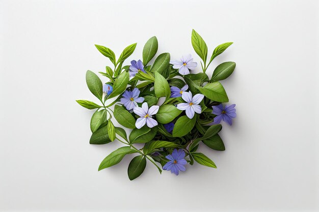 Een groen blad met blauwe bloemen erop