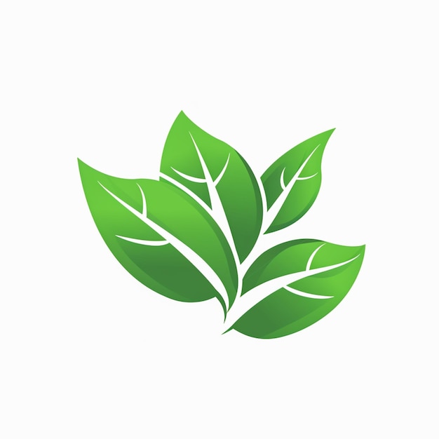 Een groen blad op een witte achtergrond