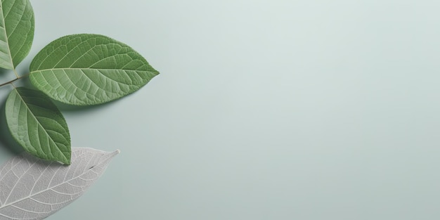 Een groen blad op een witte tafel is gelabeld als een injectiespuit.