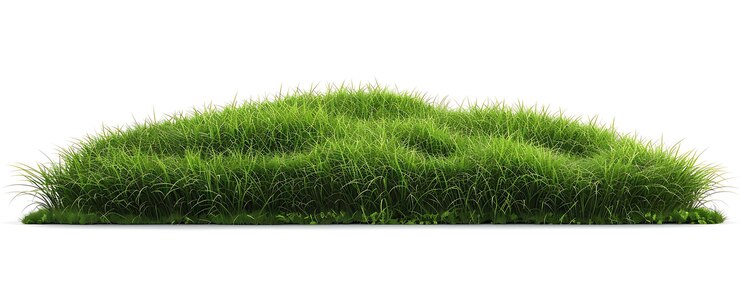 Foto een groen gras met een witte achtergrond