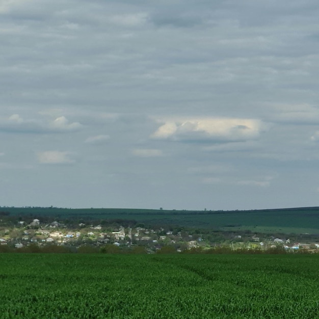 Een groen veld met daarop een paar huizen