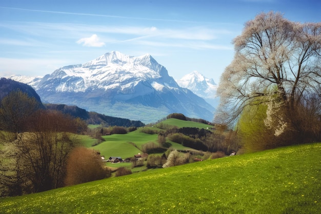 Een groen veld met een berg op de achtergrond