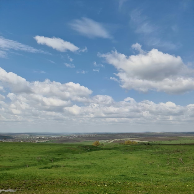 Een groen veld met een blauwe lucht en witte wolken