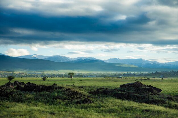 een groen veld met een paar rotsen en een paar bomen