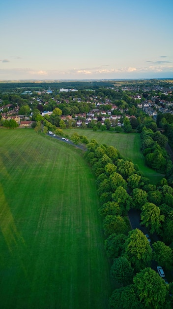 Een groen veld met een passerende trein op de weg