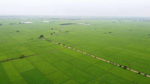 Foto een groen veld met een weg die naar de horizon leidt