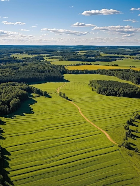 Foto een groen veld met een weg in het midden ervan