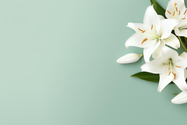 een groene achtergrond met een witte bloem en een groene achtergrond