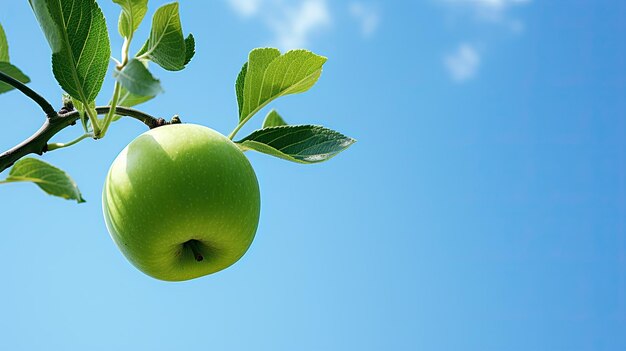 Een groene appeltak op een blauwe hemel op de achtergrond