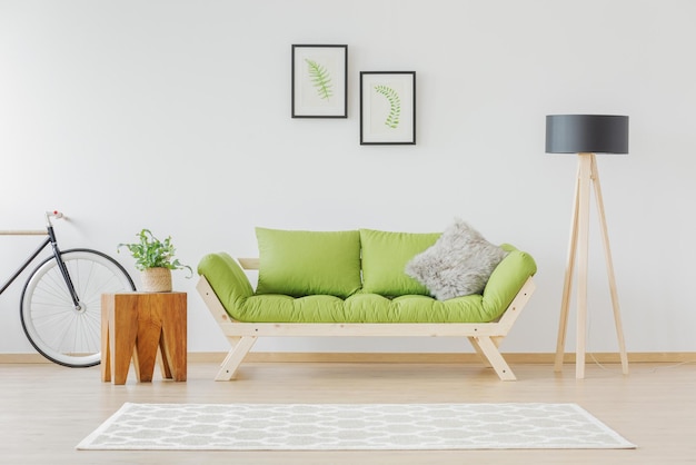 Een groene bank in een woonkamer met een wit vloerkleed en een houten tafel met een plant erop.