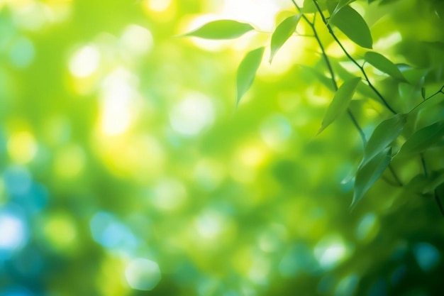 een groene boom met bladeren in de rug