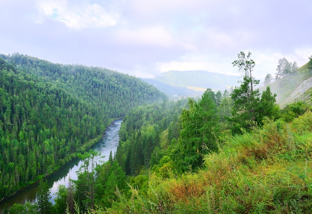 Een groene helling begroeid met gras en bomen boven een hoge kloof onder een blauwe bewolkte hemel. Siberië, Rusland