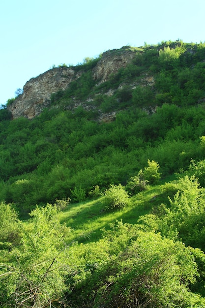 Foto een groene heuvel met een berg op de achtergrond en een blauwe hemel op de achtergrund