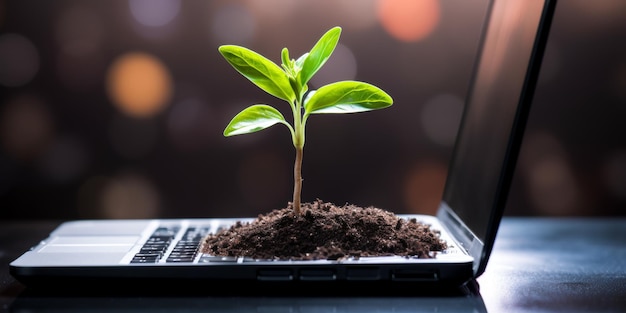 Een groene plant spruit uit een laptop toetsenbord Eco-systeem concept duurzaamheid Generatieve AI