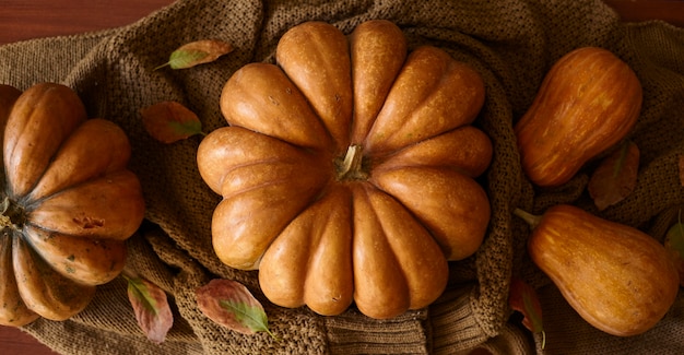 Een groep herfstpompoenen van verschillende grootte met herfstbladeren