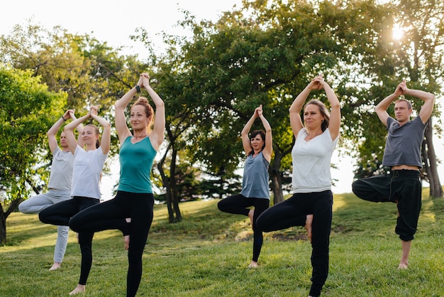 Een groep mensen doet yoga in het park bij zonsondergang. Gezonde levensstijl, meditatie en wellness.