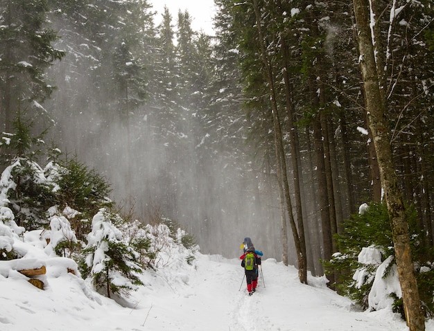 Een groep mensen loopt langs een pad in een met sneeuw bedekt bos