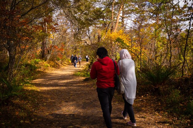 Foto een groep mensen loopt over een pad in het bos.