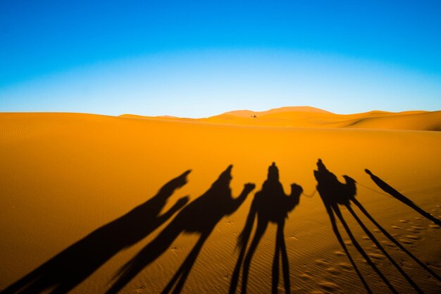 Foto een groep mensen op een zandduin