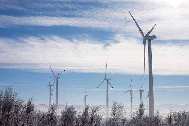 Een groep windturbines die elektriciteit opwekken