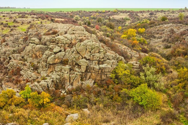 Een groot aantal steenmineralen bedekt met groene vegetatie ligt boven een kleine rivier in het pittoreske Oekraïne en zijn prachtige natuur