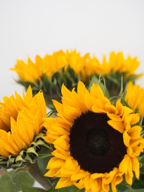 Een groot boeket gele decoratieve zonnebloemen