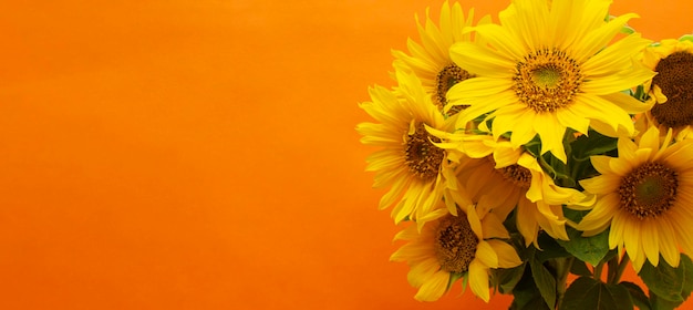 Een groot boeket zonnebloemen, gele bloemen op een oranje achtergrond. blanco voor een ansichtkaart, plaats