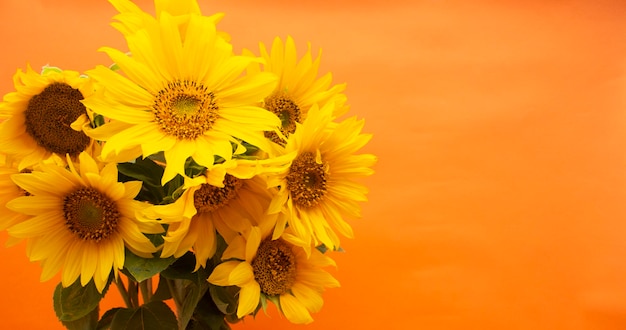 Een groot boeket zonnebloemen, gele bloemen op een oranje achtergrond. leeg voor een ansichtkaart.