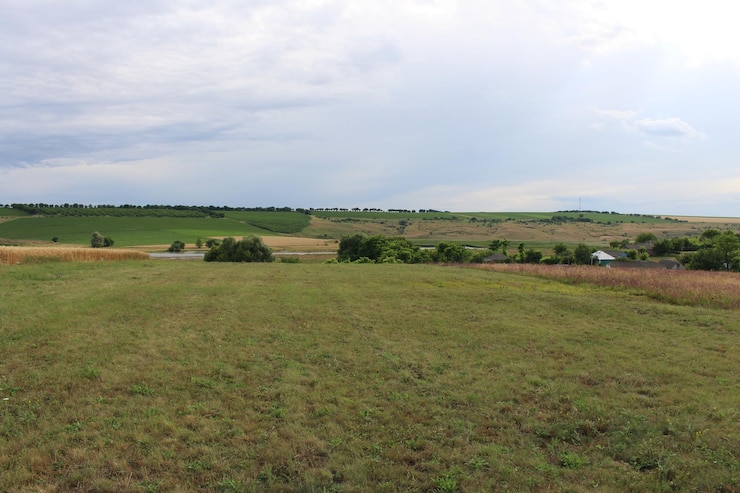 Foto een groot grasveld