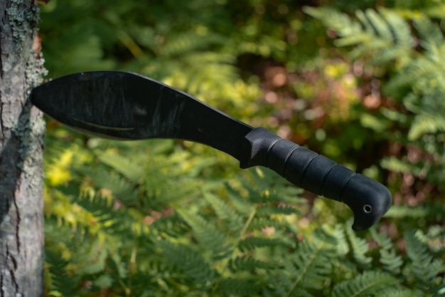 Een groot kukri-mes zit in de zomer vast in een boom in het bos Foto van hoge kwaliteit