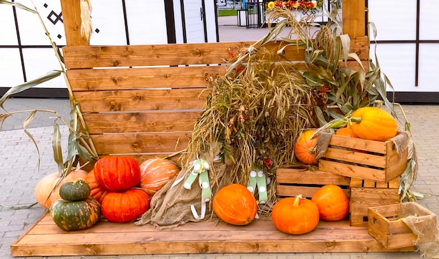 Een grote heldere rijpe pompoen jack-o-lantern verticaal