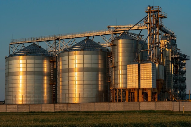 Een grote moderne fabriek in de buurt van een tarweveld voor de opslag en verwerking van graangewassen uitzicht op de zilveren silo's verlicht door het licht van de ondergaande zon tegen het oogstseizoen van de blauwe lucht