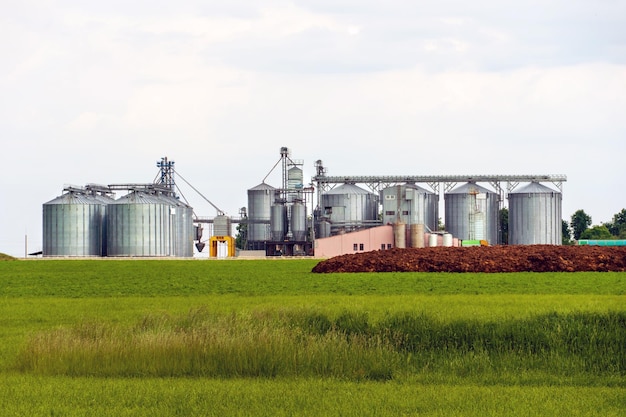 Een grote moderne fabriek voor de opslag en verwerking van graangewassen uitzicht op de graanschuur op een zonnige dag Grote ijzeren vaten van graan zilveren silo's op agro-fabriek voor verwerking en drogen