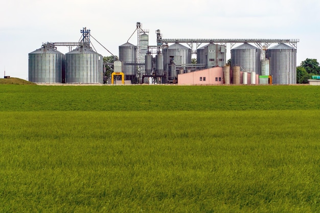 Een grote moderne fabriek voor de opslag en verwerking van graangewassen uitzicht op de graanschuur op een zonnige dag tegen de blauwe lucht Einde oogstseizoen zilveren silo's op agro-fabriek