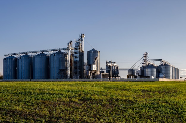 Een grote moderne fabriek voor de opslag en verwerking van graangewassen uitzicht op de graanschuur op een zonnige dag tegen de blauwe lucht Einde van het oogstseizoen