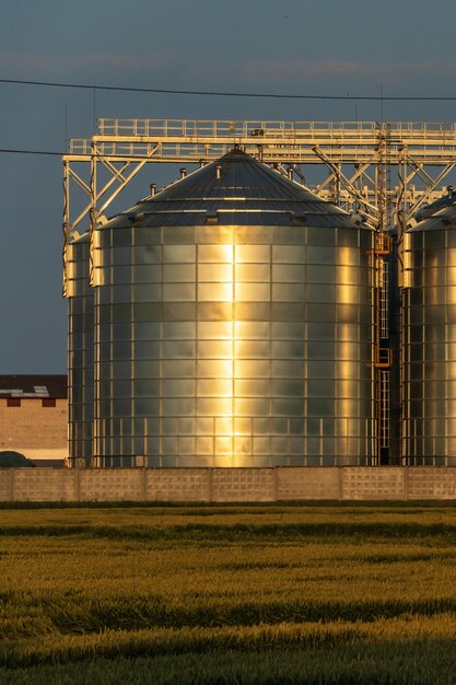 Foto een grote moderne fabriek voor de opslag en verwerking van graangewassen uitzicht op de graanschuur op een zonnige dag tegen de blauwe lucht einde van het oogstseizoen