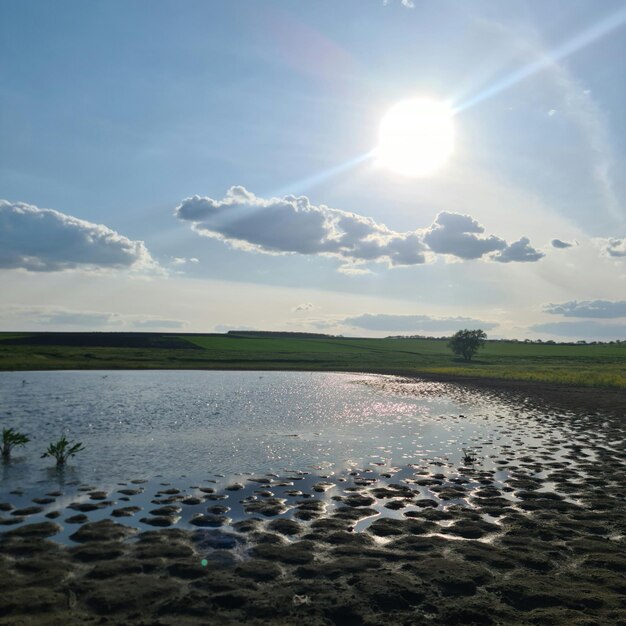 Een grote plas water waar de zon op schijnt