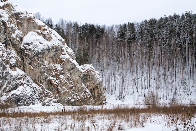 Een grote rots in de sneeuw. Hoge dennen en bewolkte hemel. Bevroren meer onder de sneeuw