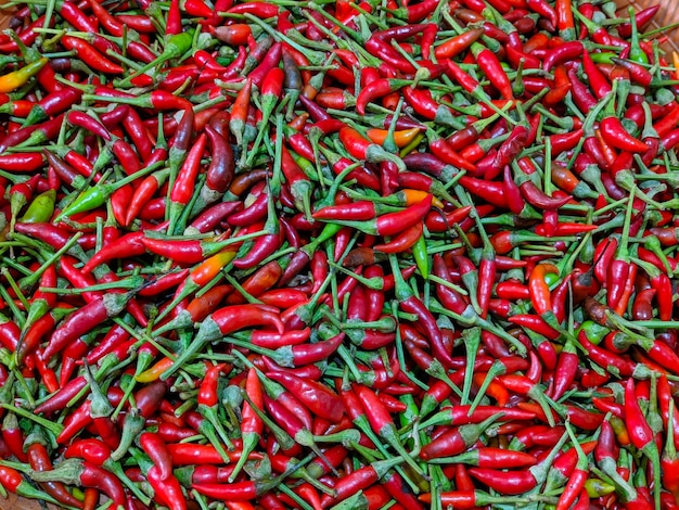 Foto een grote stapel rode chilipepers