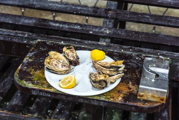 Een half dozijn oesters op een plastic bord