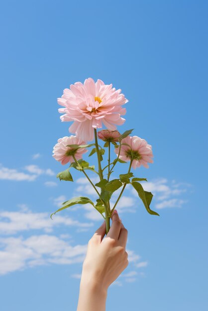 Een hand die een bloem vasthoudt geïsoleerd op de achtergrond van de hemel