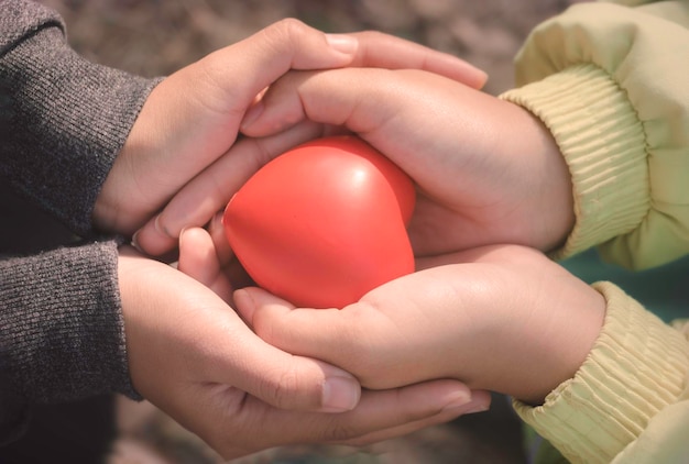 Een hand die een rood hart vasthoudt Ze is een linker- of rechterhand die het op een groene achtergrond houdt hart gezond gelukkig