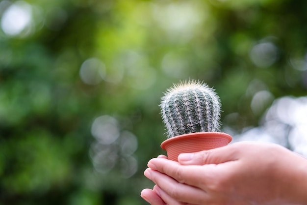 Foto een hand met een cactus in een bloempot met een wazige natuurachtergrond