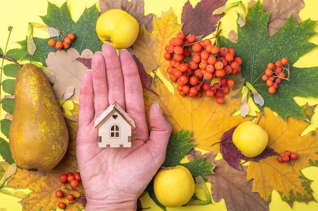 Een hand met een klein houten huis op een gele achtergrond met roodgele bladeren, appels, peren en oranje bessen. Het huis is een symbool van familie en liefde. Gezinsondersteuning in de herfst.